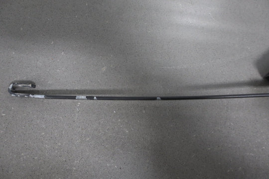 https://i.ebayimg.com/00/s/MTA2N1gxNjAw/z/F2wAAeSw0Otp0TMm/$_57.JPG?set_id=8800005007