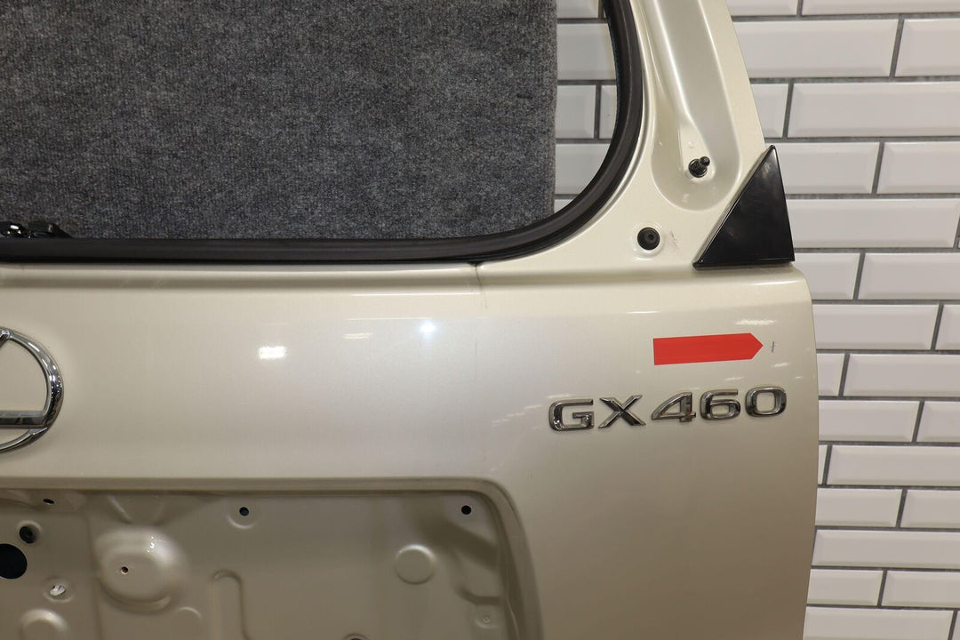 14-19 Lexus GX460 Rear Hatch Door BARE Satin Cashmere Metallic (4U7)