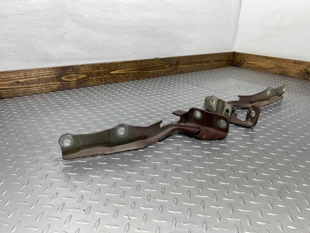 08-10 Ford F250SD Pair Left & Right Hood Hinges (Dark Copper Metallic T5)