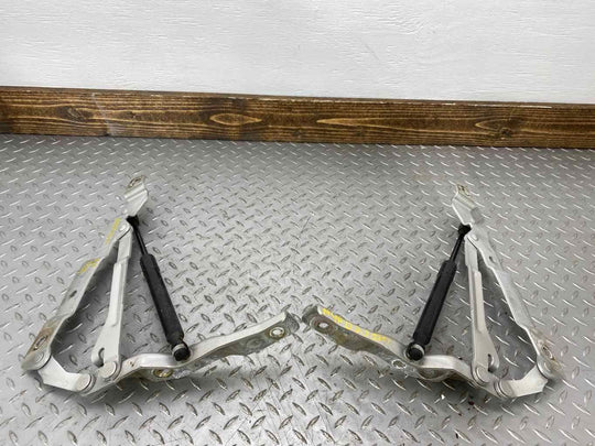 02-05 Ford Thunderbird Pair LH&RH Trunk Deck Lid Hinges (Silver Birch PNUPL)