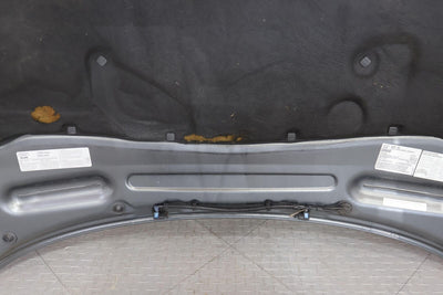 03-04 Audi RS6 OEM Hood Panel (Daytona Gray LZ7S) No Grille See Notes
