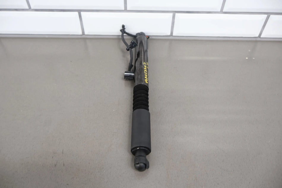 2017 Tesla X- Hatch Strut