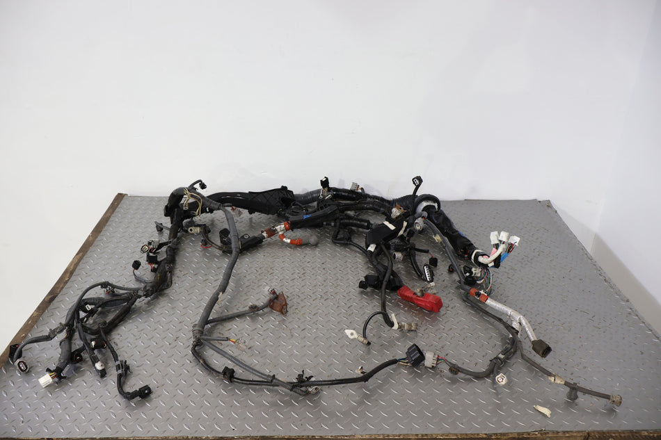 2016 Toyota Tacoma- Engine Wiring Harness