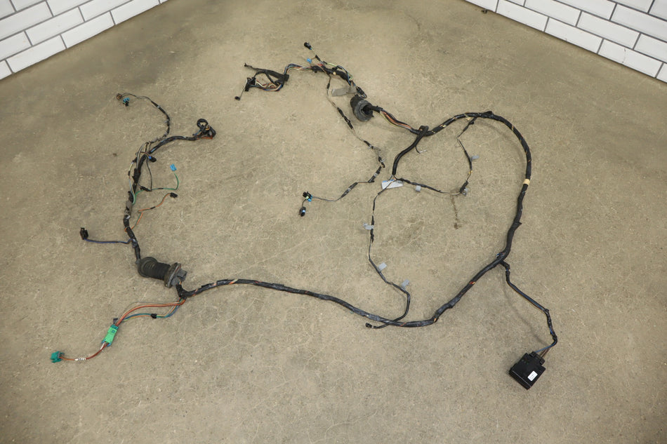 2000 Pontiac Firebird- Door Wiring Harness