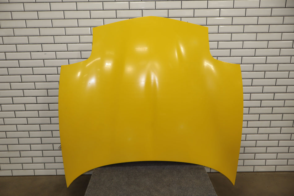 1997-2004 Chevrolet Corvette C5 Hood 10320926