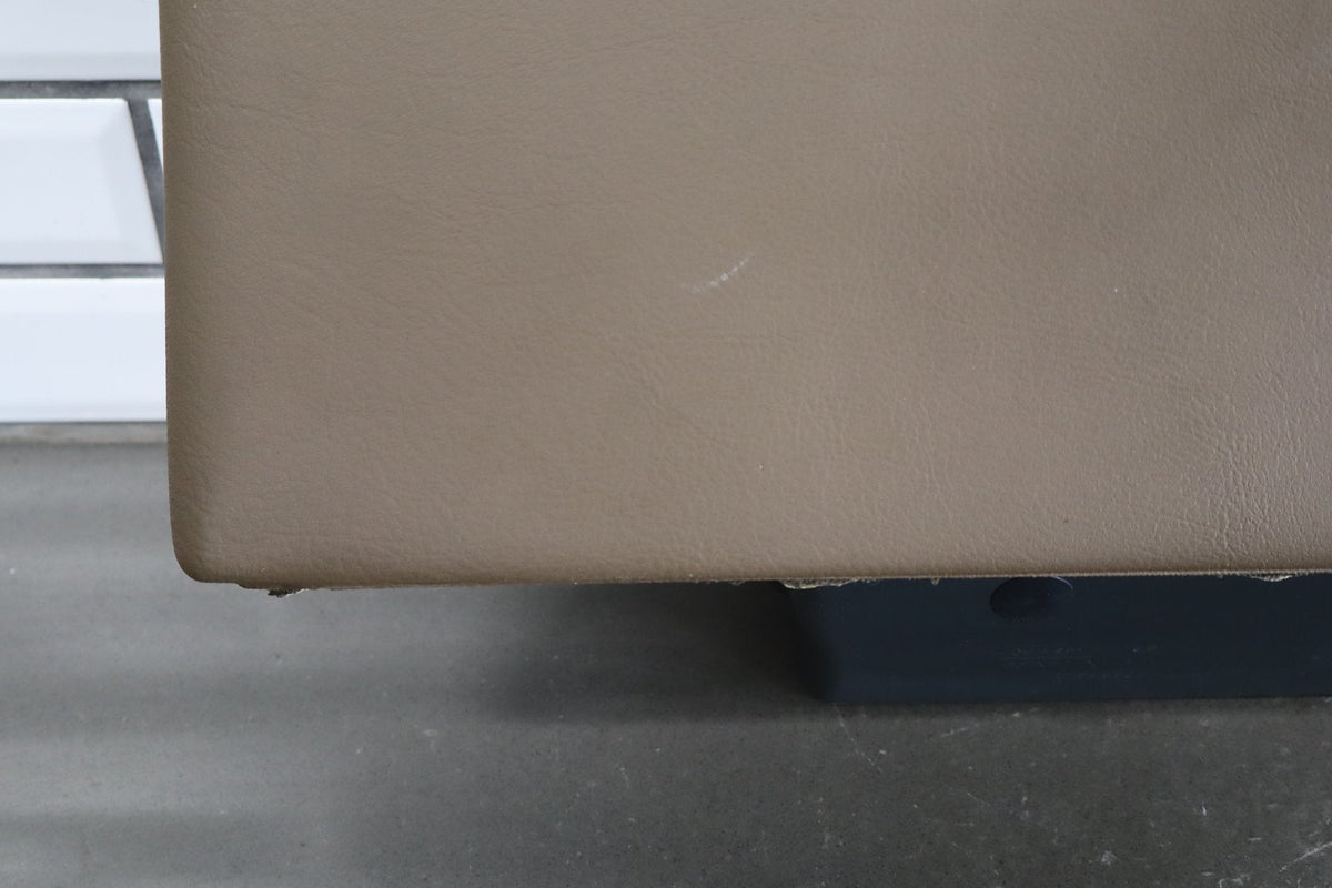 94-96 Pontiac Grand Prix Glove Box Door (Beige 64)