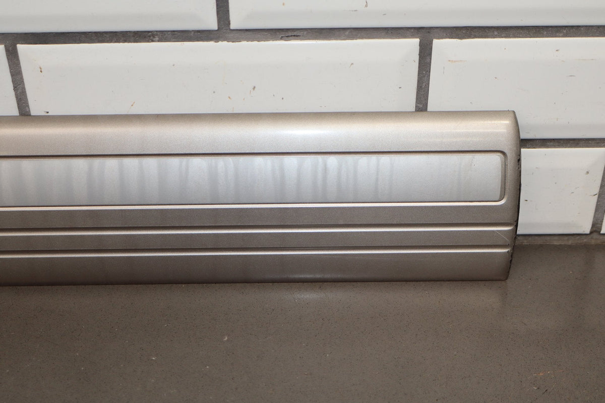98-02 Toyota Land Cruiser Left Front Door Molding (White 056)