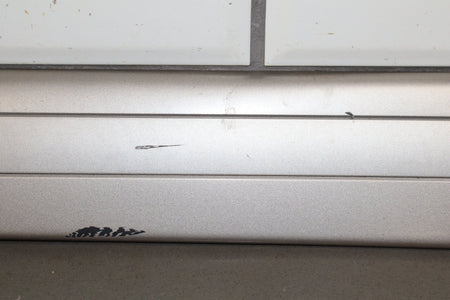 98-02 Toyota Land Cruiser Right Quarter Molding (White 056)