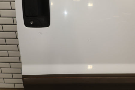 99-04 Ford F250 F350 Super Duty RH Front Door OEM