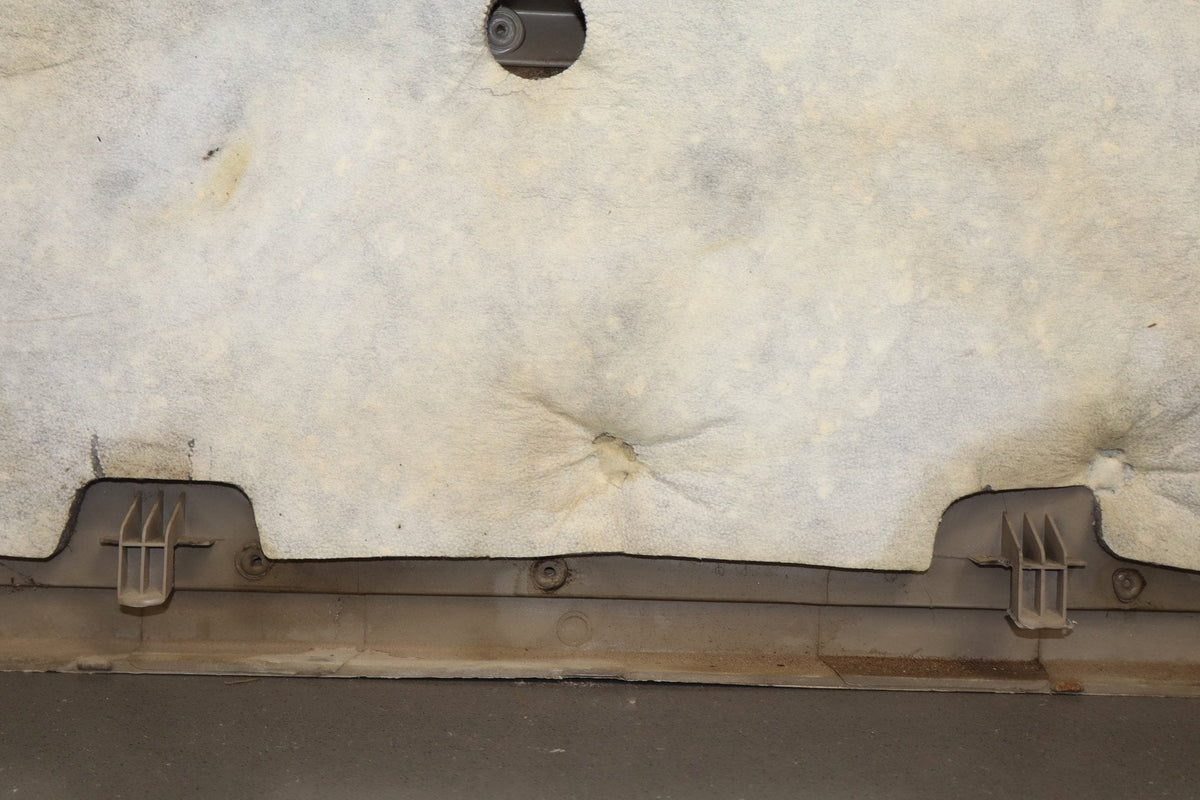 99-07 Ford F-250 F-350 Super Duty Driver Left Front Door Panel Pebble
