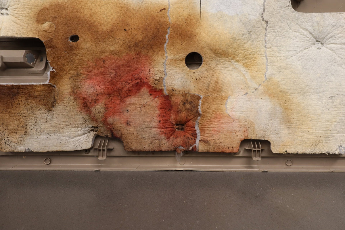 99-07 Ford F250 F350 Super Duty Passenger Front Door Panel Tan OEM
