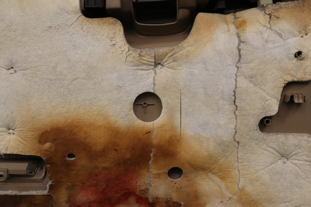 99-07 Ford F250 F350 Super Duty Passenger Front Door Panel Tan OEM