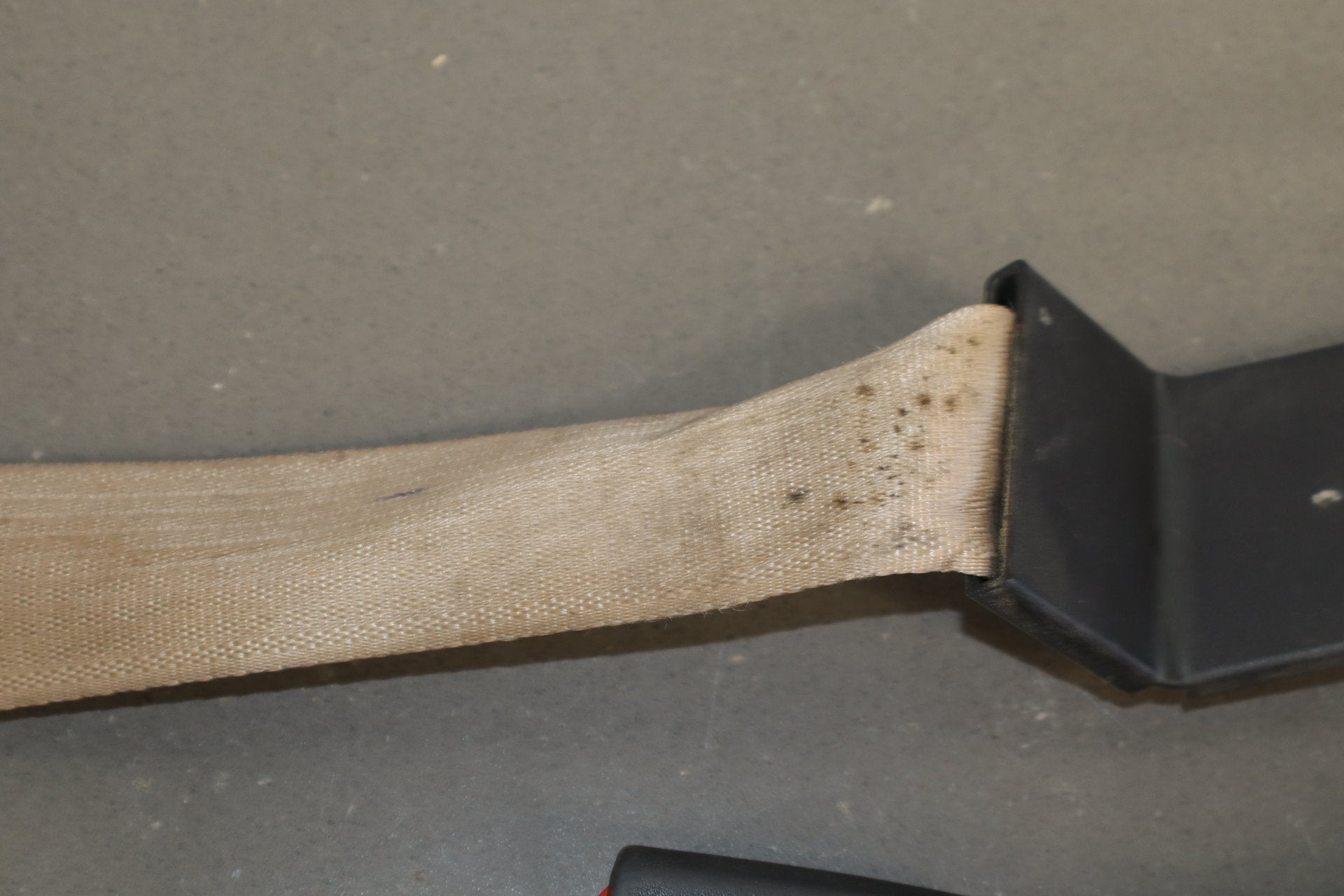 99-07 Ford F350 Super Duty Center Rear Lap Seat Belt OEM