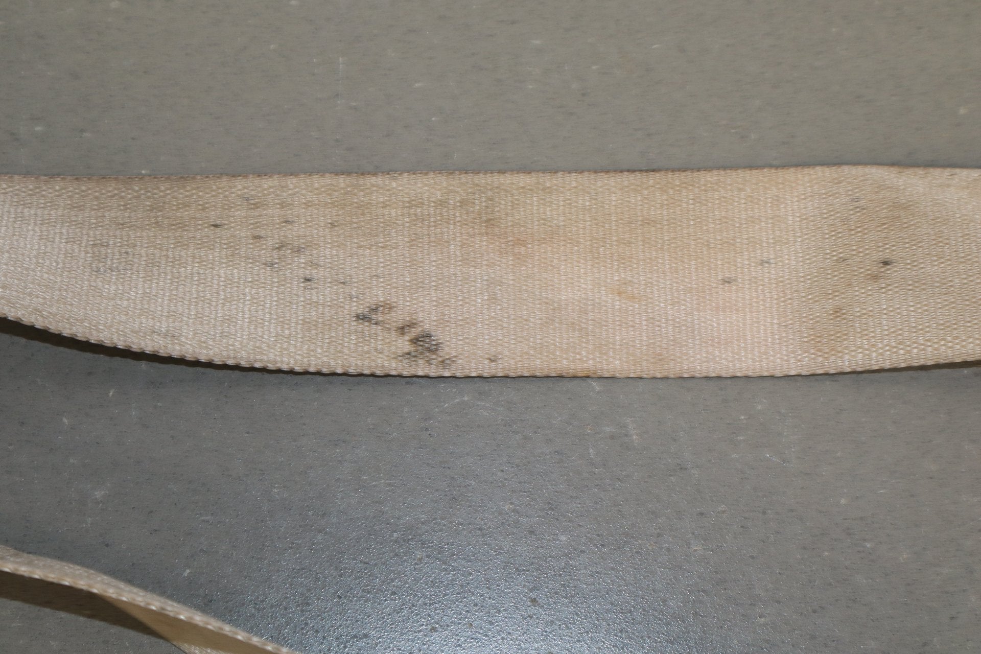 99-07 Ford F350 Super Duty Center Rear Lap Seat Belt OEM