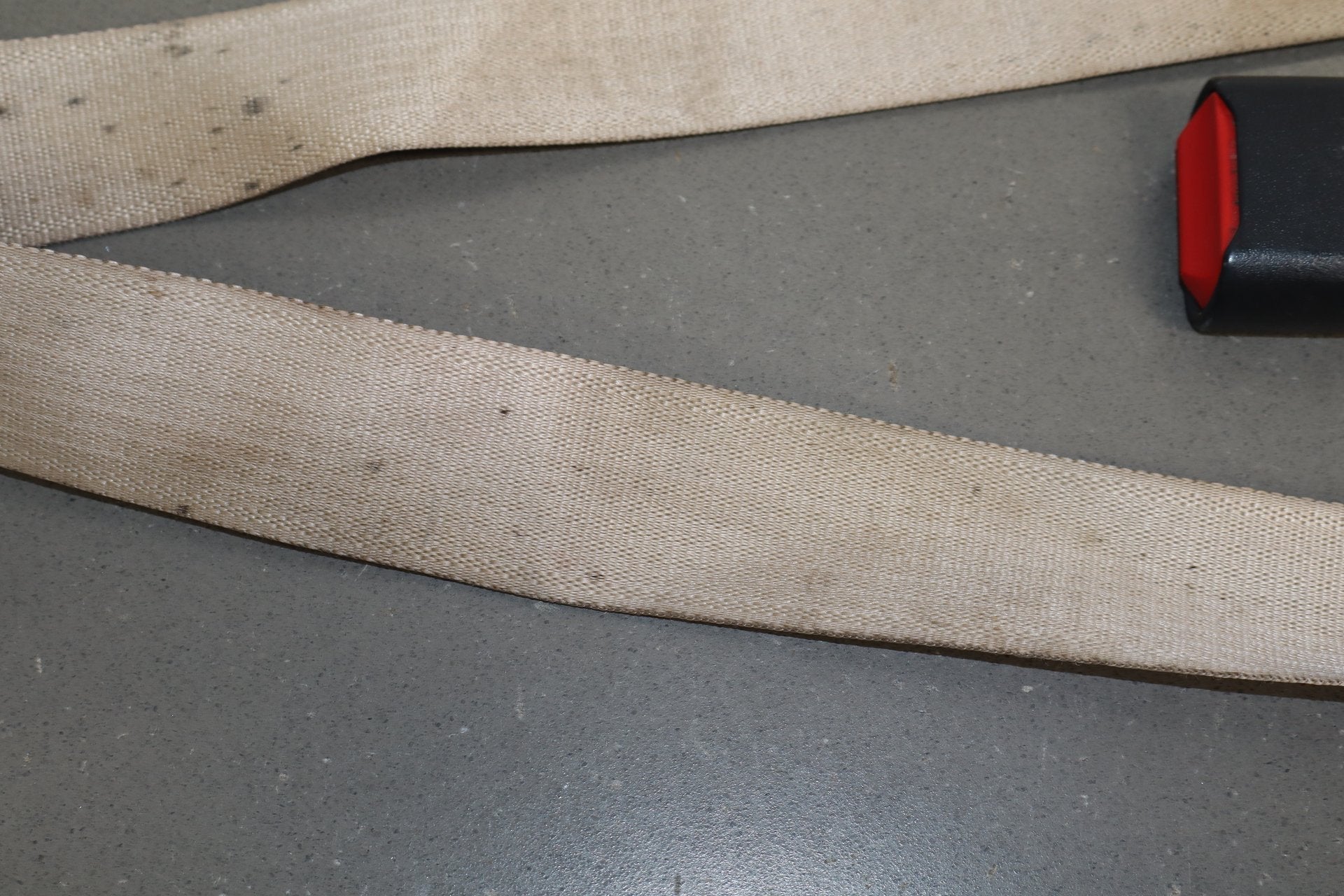 99-07 Ford F350 Super Duty Center Rear Lap Seat Belt OEM