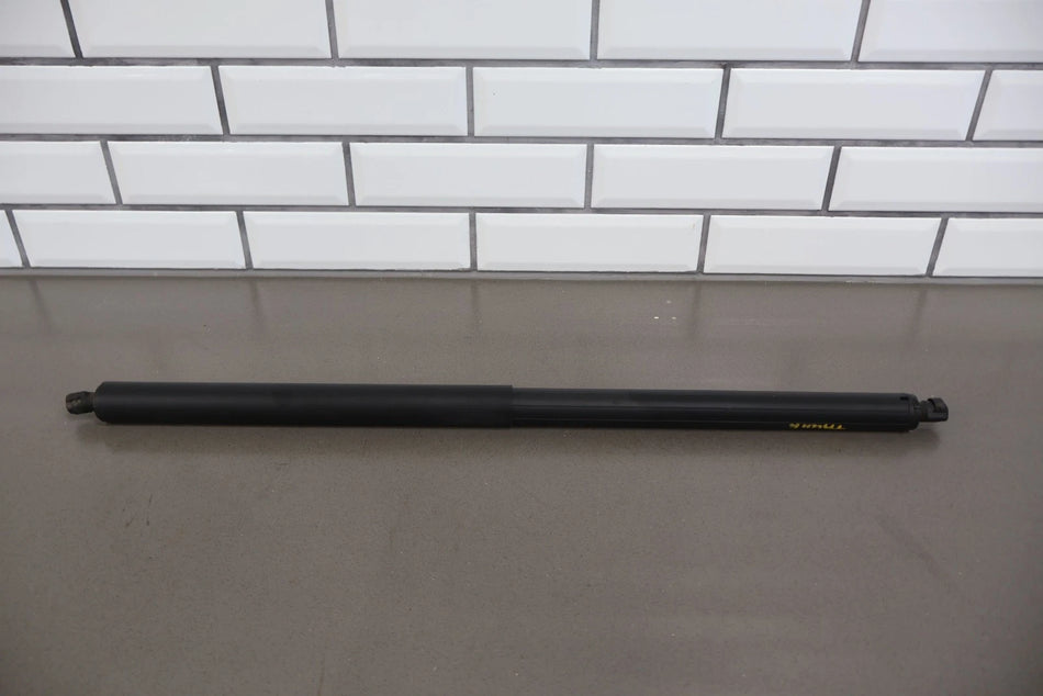 2017 Tesla X- Hatch Strut