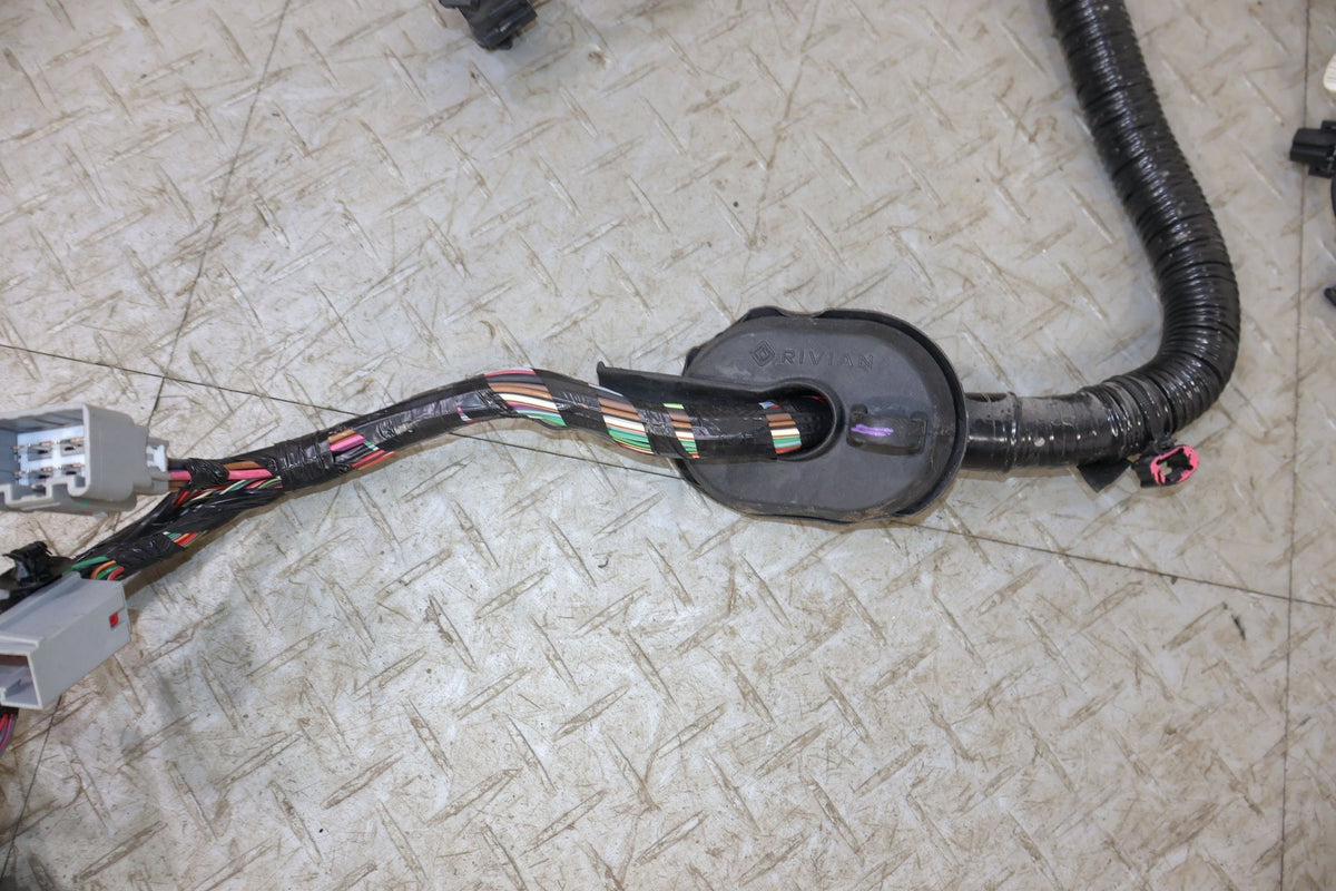 Body Wiring Harness, 2022, Rivian, R1S