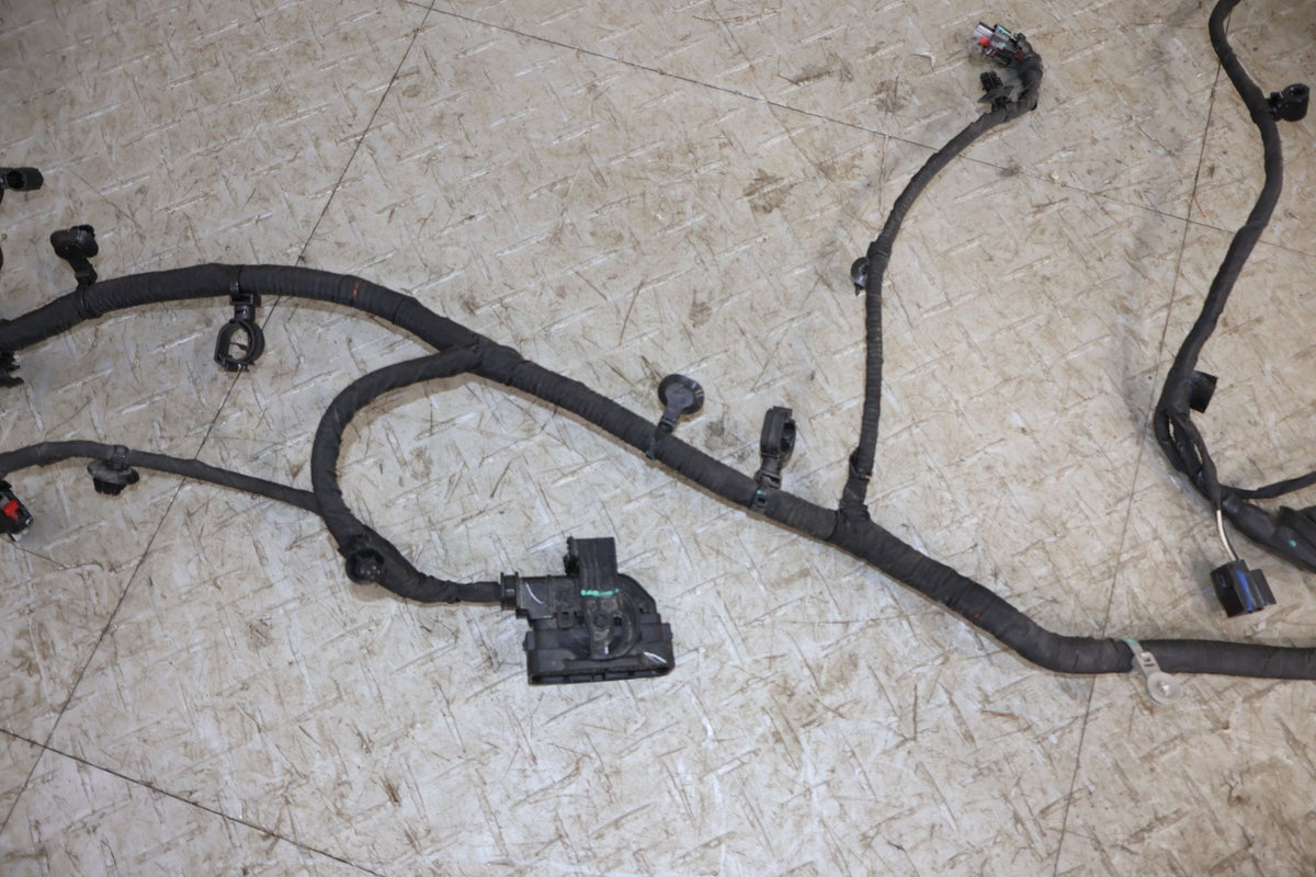 Body Wiring Harness, 2022, Rivian, R1S