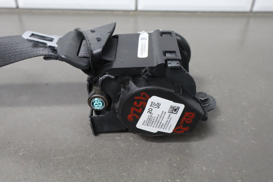 2023 Tesla Y- Right Rear Seat belt