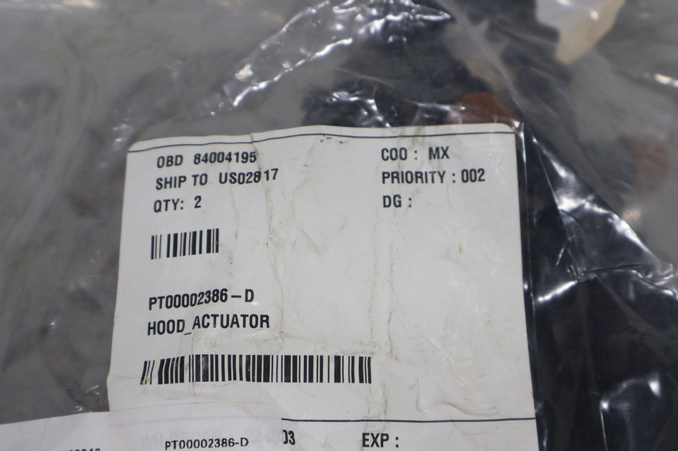 Hatch Strut, 2022, Rivian, R1S