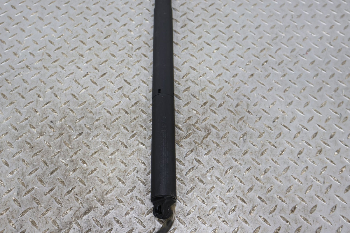 Hatch Strut, 2022, Rivian, R1S