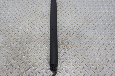Hatch Strut, 2022, Rivian, R1S