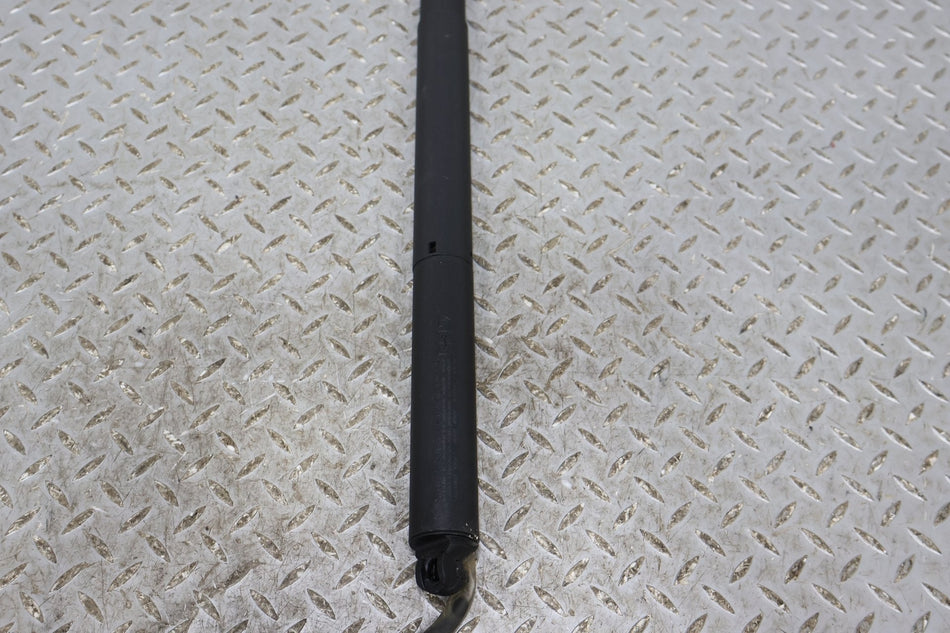 Hatch Strut, 2022, Rivian, R1S