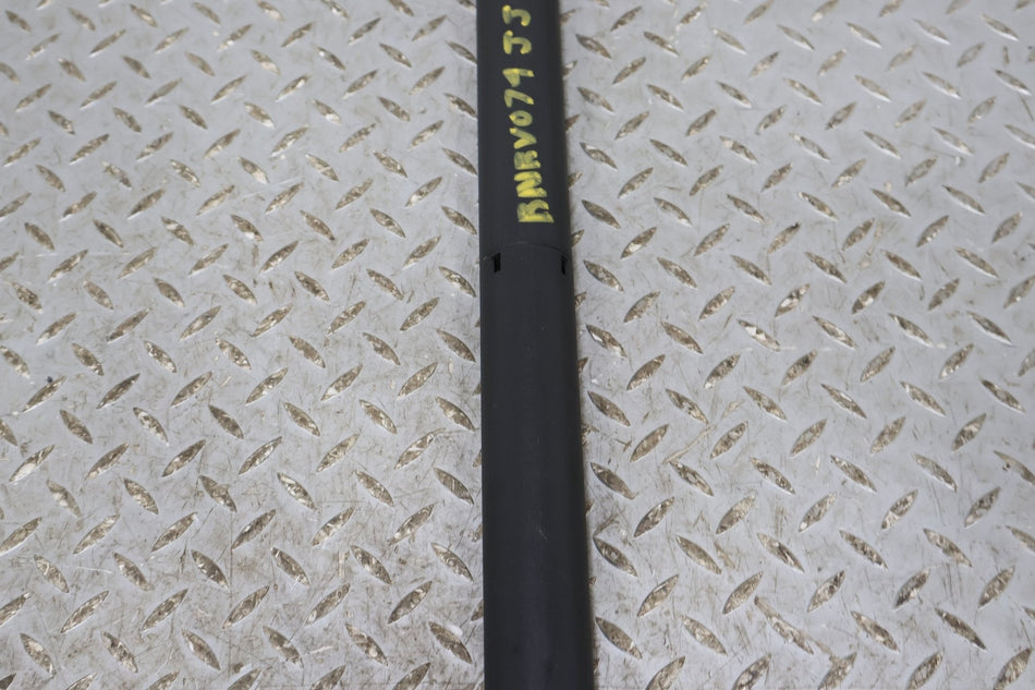 Hatch Strut, 2022, Rivian, R1S