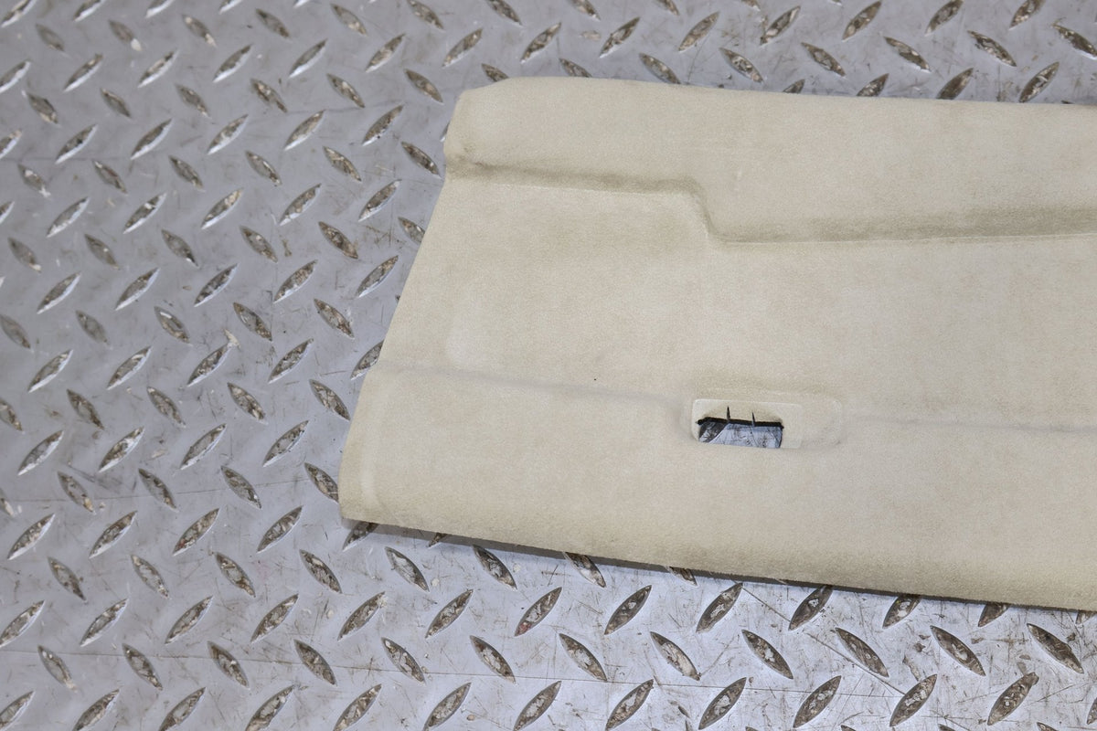Sun Visor, 2009