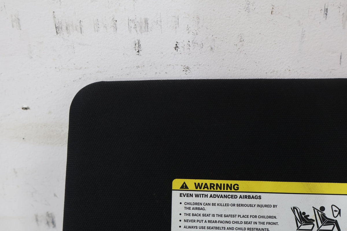 Sun Visor, 2015, Dodge, Charger