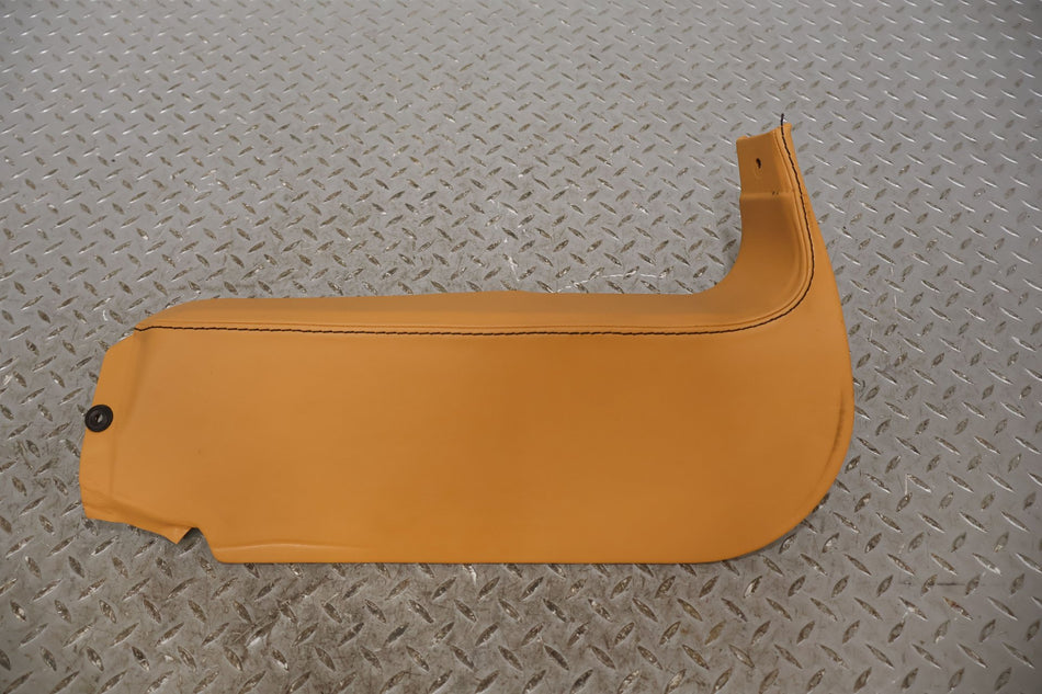 2010 ASTON- Kick Panel