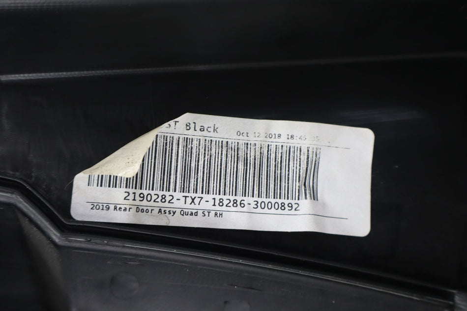 Rear Door Trim, 2019, Ram, 1500