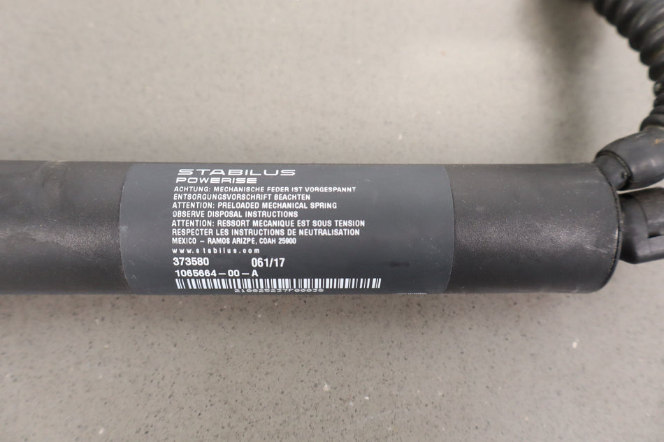 2017 Tesla X- Hatch Strut