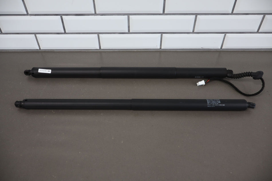 2016 Tesla X- Hatch Strut