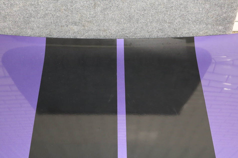 2014 Dodge Challenger- Decklid/Tailgate