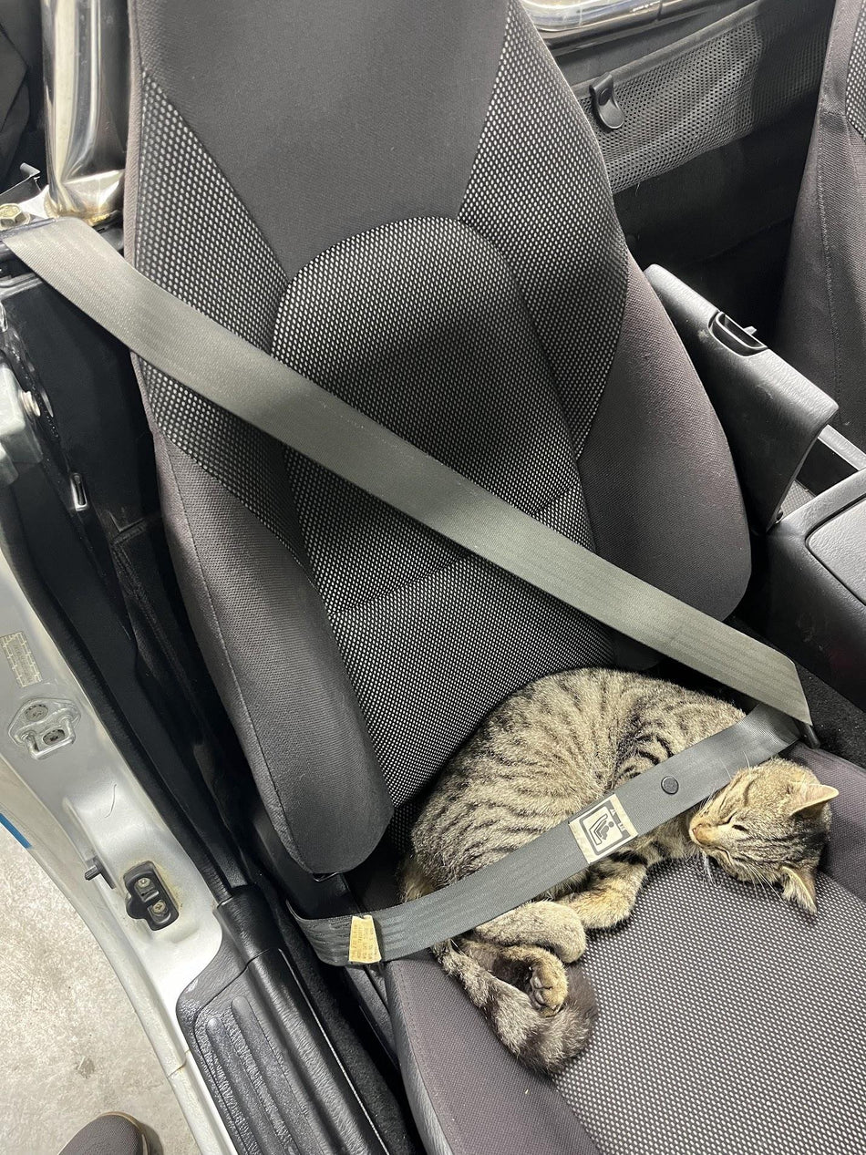 2002 Mazda MX-5 Miata- Front Seat Belt