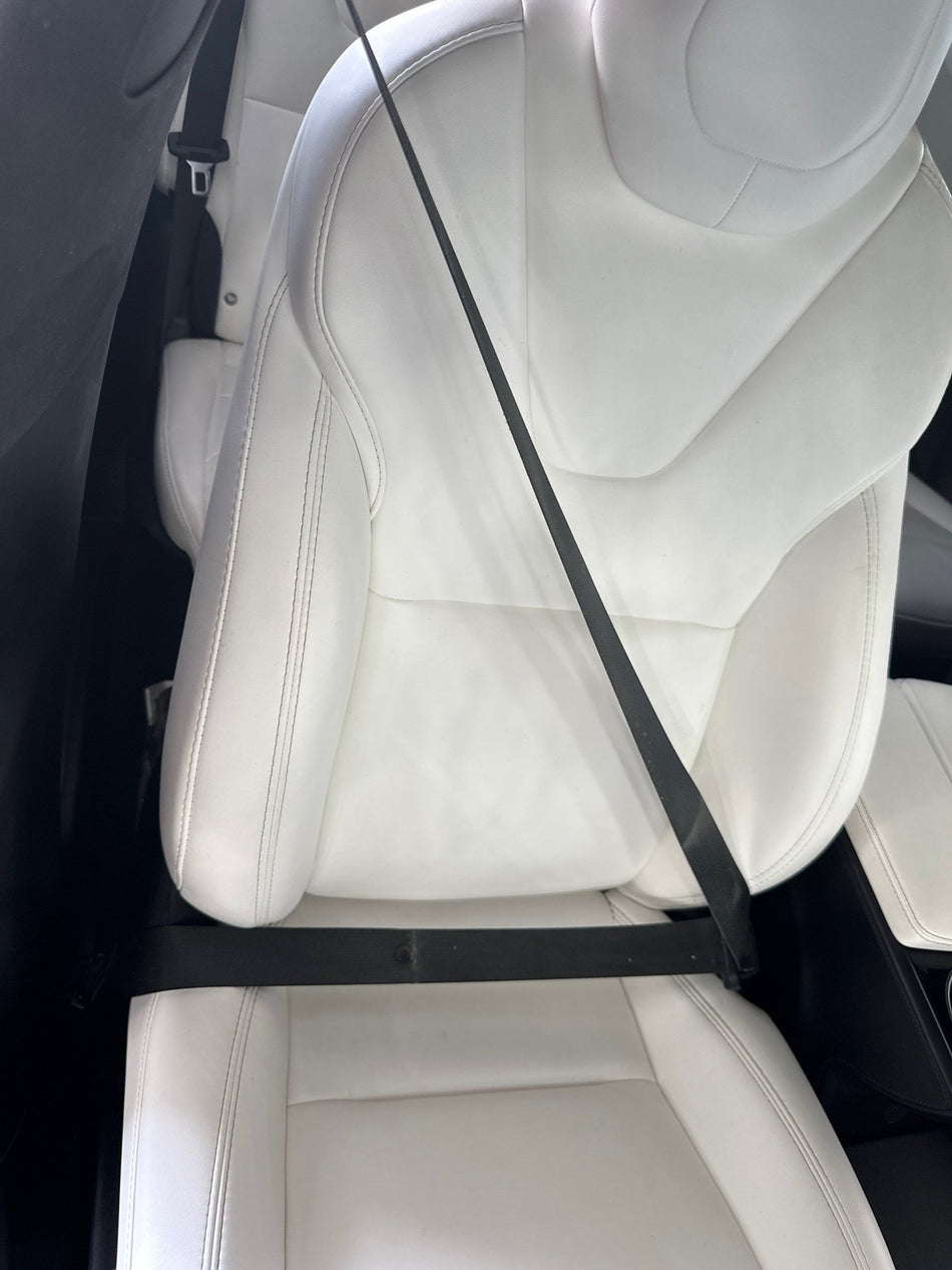 2019 Tesla X- Front Seat Belt