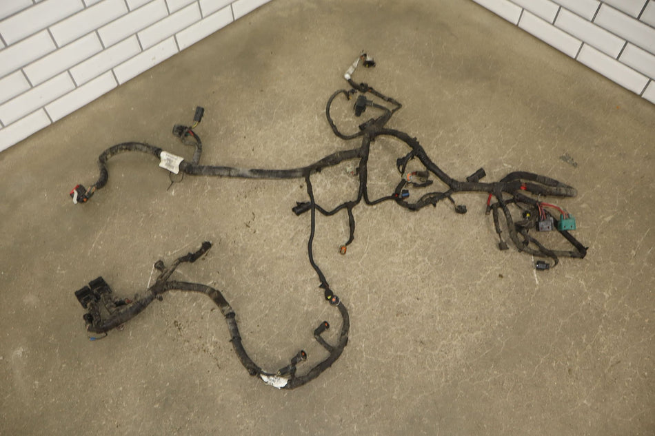 Engine Wiring Harness, 2005, Ford, F-250 Super Duty