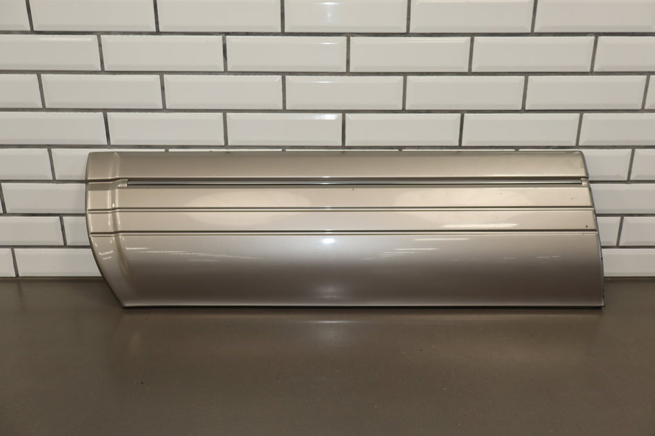 1996-1997 Lexus LX450 Left Front Door Molding Cashmere Beige 4M9