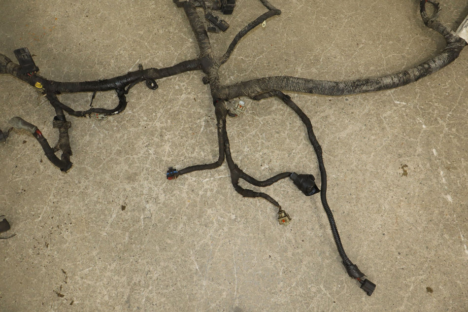 Engine Wiring Harness, 2005, Ford, F-250 Super Duty