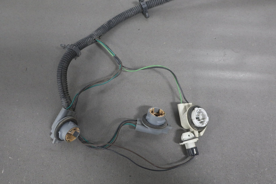 1998-2002 Pontiac Firebird- Taillight Wiring Harness