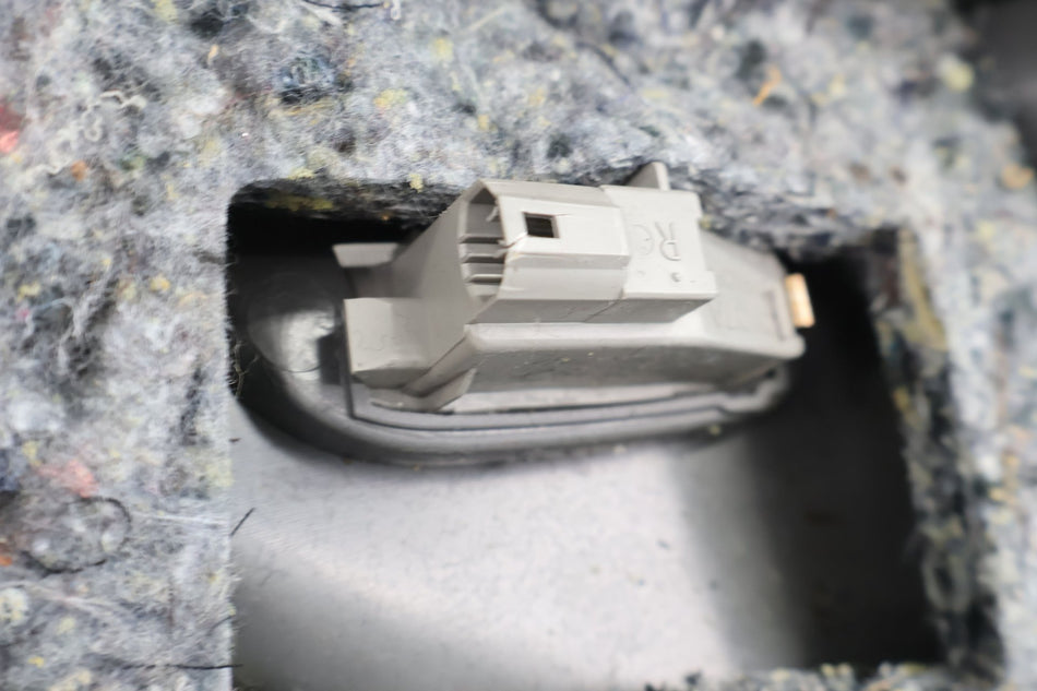 2006 Lexus GX470 Right Rear Door Trim Panel