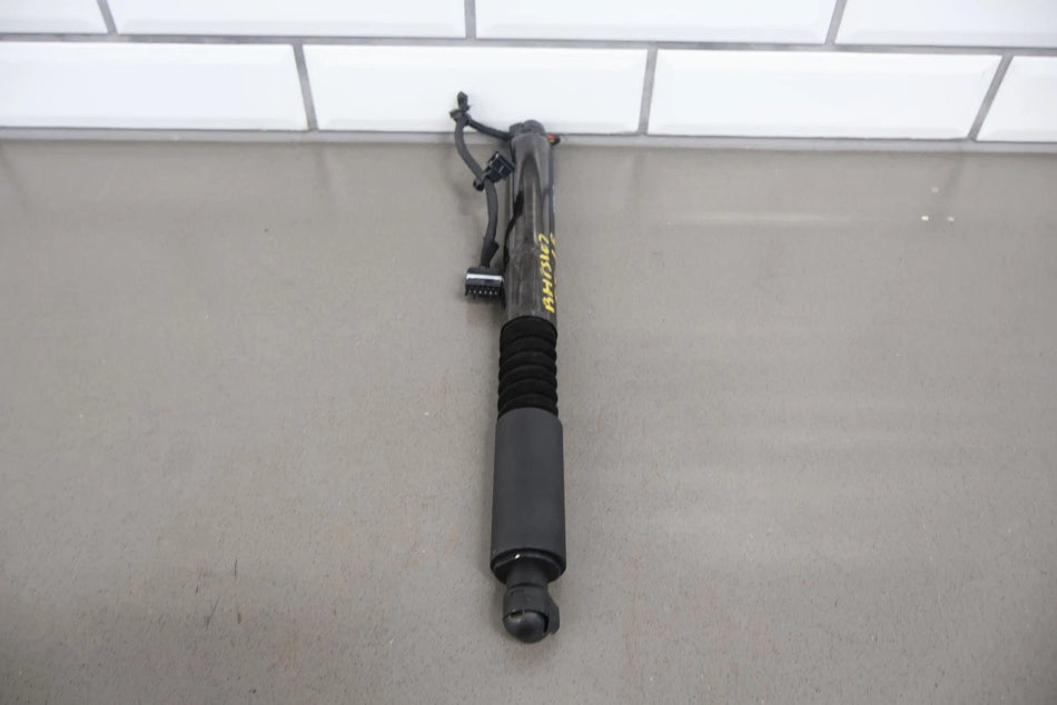 2017 Tesla X Hatch Strut OEM