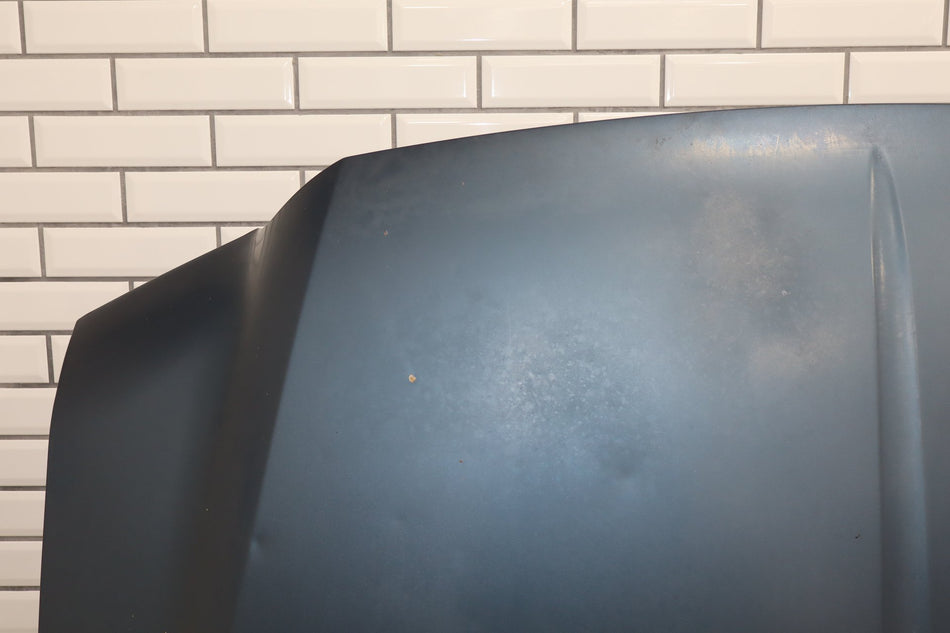 99-07 Ford F-250 Super Duty XLT Lariat Hood Wedgewood Blue LD