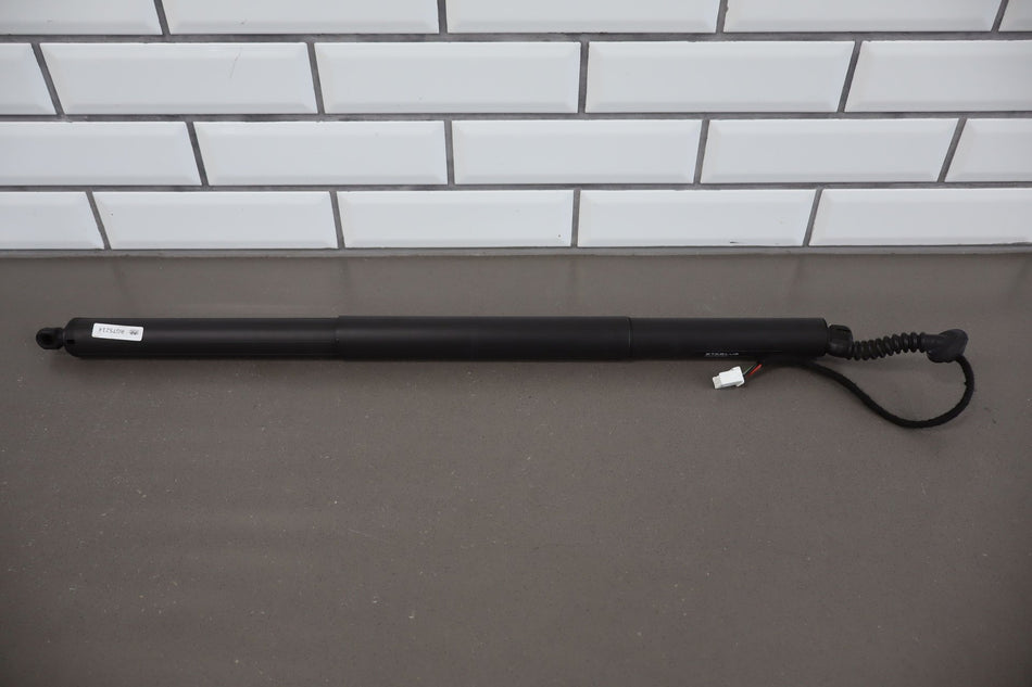 2016 Tesla X- Hatch Strut