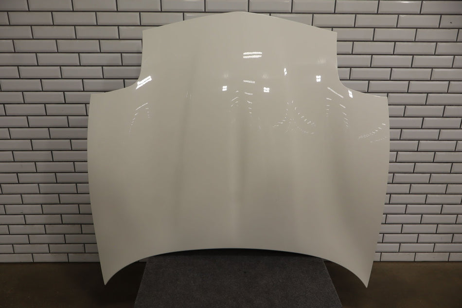 1997-2004 Chevrolet Corvette C5 Hood 10320926