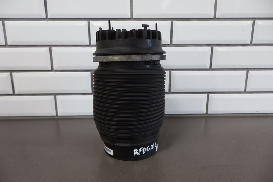 2015 Ram 1500- Right Rear Strut
