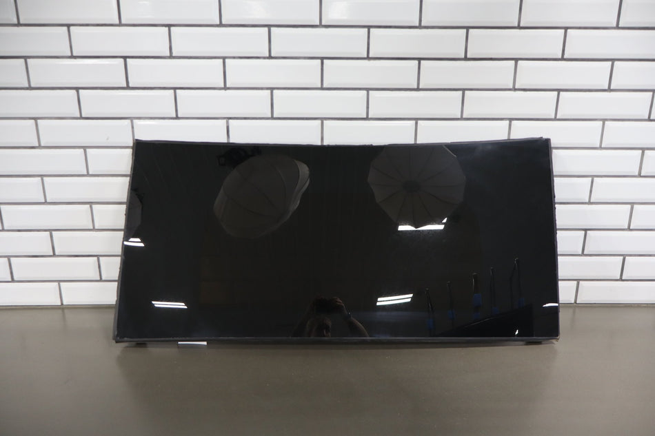 2016-2025 Tesla Model X MX Rear Left Side Falcon Door Roof Glass 1034902-00-G