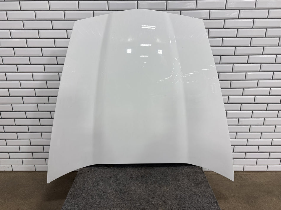 2005-2013 Chevrolet Corvette C6 Hood Panel OEM 25805421
