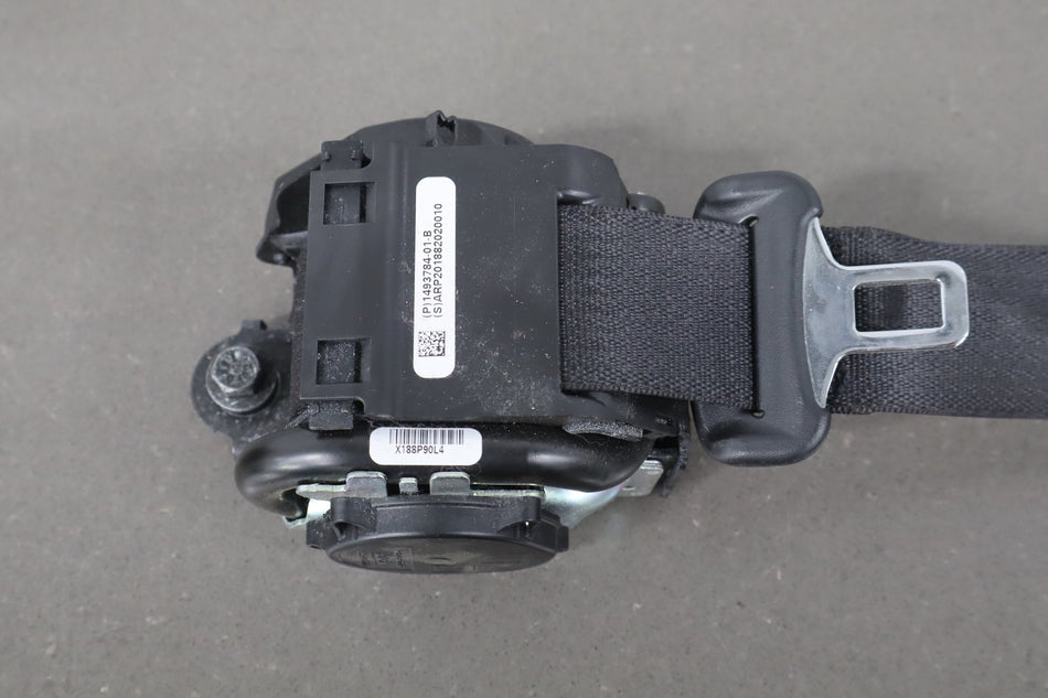 2020-2025 Tesla Model Y Rear Right Seat Belt OEM 1616500-01-C